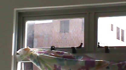 Ginebra Bellucci, pantat besar, sepong, remaja video porn jepang pemerkosaan
